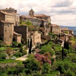 From Avignon: Full-Day Best of Provence Tour - What Makes This Tour Stand Out?