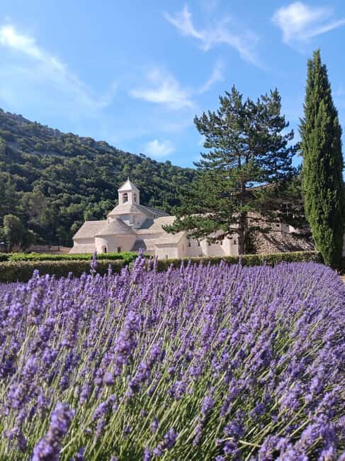 From Avignon: Lavender Villages Full-Day Tour - The Realities You Should Know