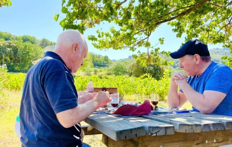 From Avignon: Roman Tour to Pont du Gard, Nîmes & Orange - What Does the Price Cover? Is It Worth It?