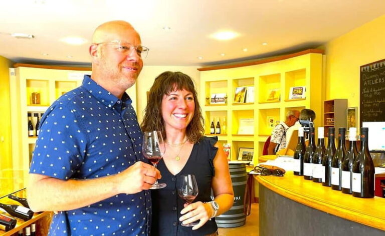 From Avignon: Wine Tour in 3 places inc. Châteauneuf du Pape - Who Should Consider This Tour?