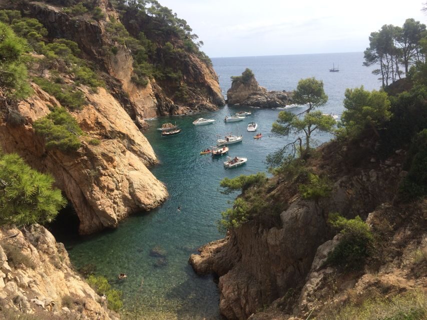 From Barcelona: Costa Brava Hike, Snorkel & Tossa de Mar - What Makes This Tour Stand Out