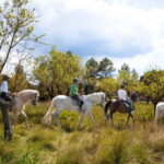 From Barcelona: Montserrat Walking and Horseback Riding Tour - A Deep Dive into the Montserrat Experience