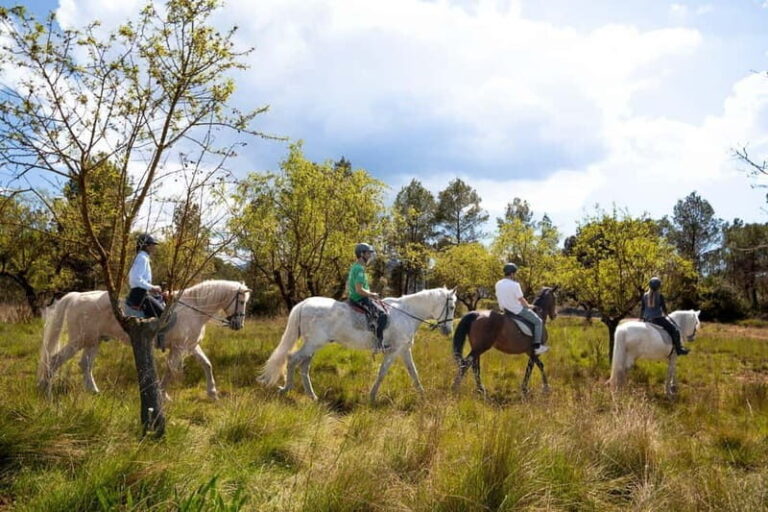 From Barcelona: Montserrat Walking and Horseback Riding Tour - A Deep Dive into the Montserrat Experience