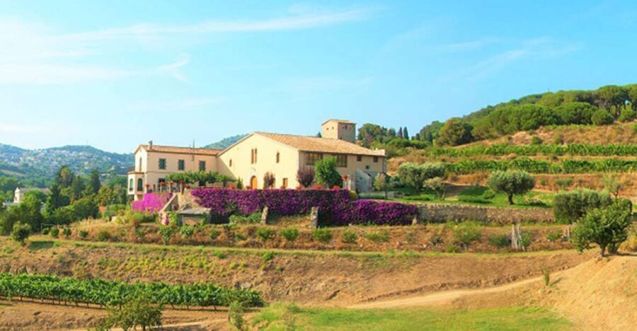 From Barcelona: Private Alella Wine Tour by Electric Bike - Who Should Consider This Tour?