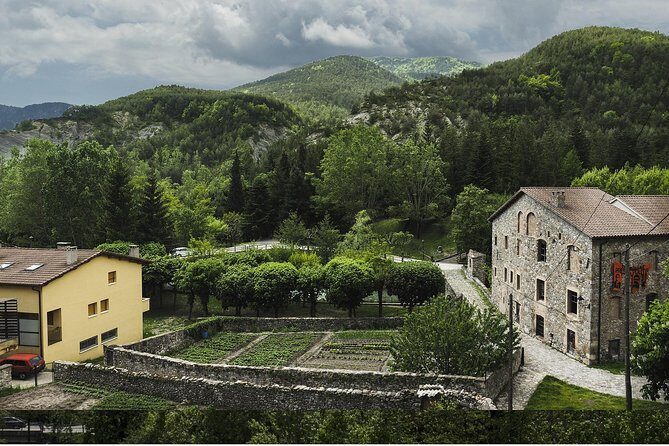 From Barcelona: Private Day Trip to Spain, France & Andorra - Real Traveler Feedback