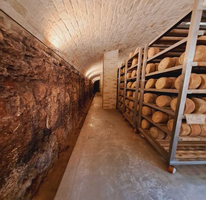 From Bari: Burrata cheese and confetti experience - Real Traveler Insights and Feedback