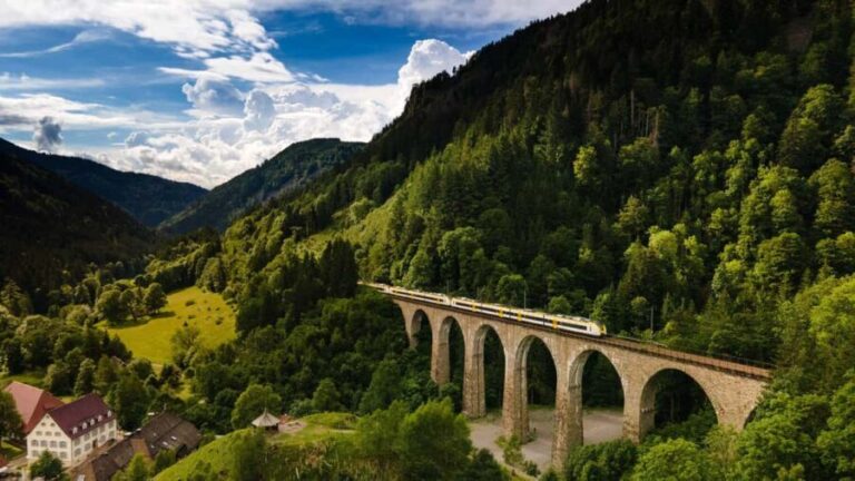 From Basel: Day trip Black Forest culture and indulgence - What’s included and what’s not