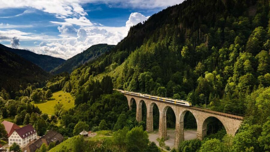 From Basel: Day trip Black Forest culture and indulgence - What’s included and what’s not