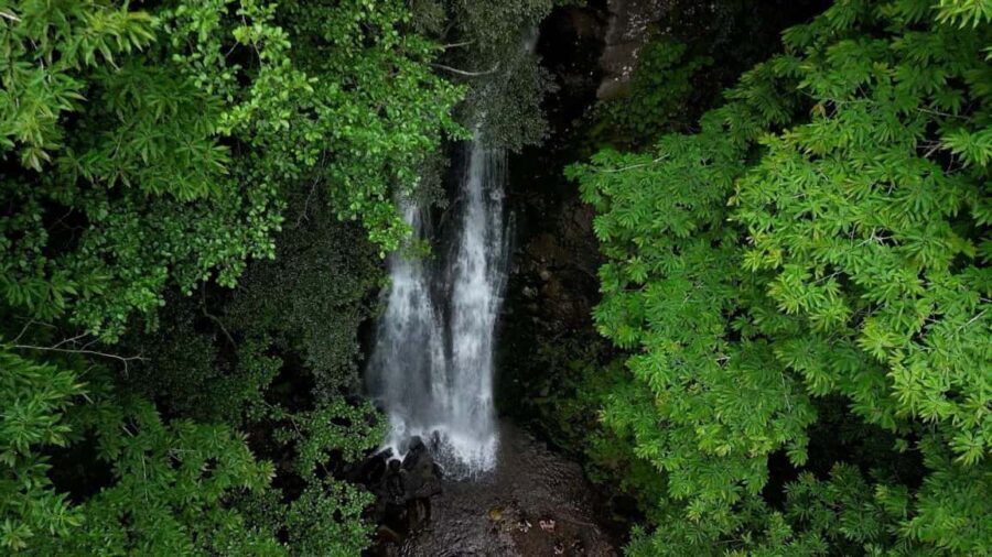 From Batumi: Adjara Adventure Tour - What You Can Expect from Each Part