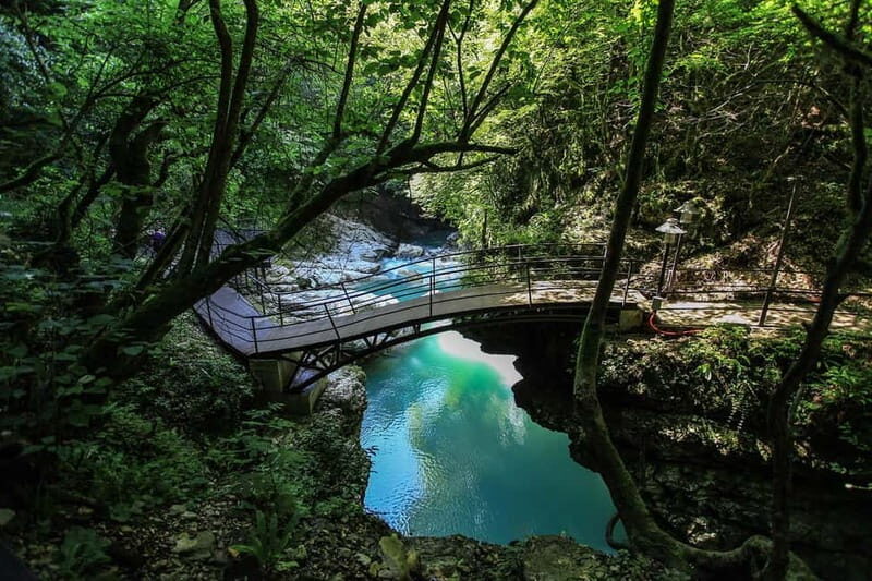 From Batumi: Martvili Canyon and Prometheus Cave Tour - Who Will Love This Tour?