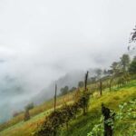 From Batumi: Songs & Flavors of Merisi Village - FAQs