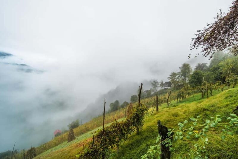 From Batumi: Songs & Flavors of Merisi Village - FAQs