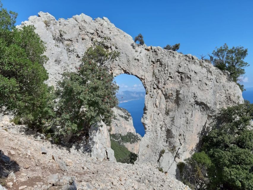 From Baunei: Cala Mariolu Hiking Tour - Who Should Consider This Tour?
