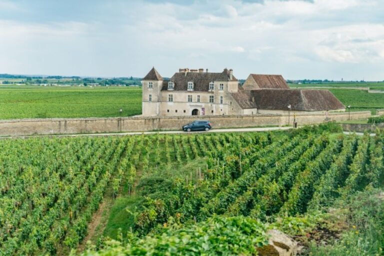 From Beaune: Burgundy Day Trip with 14 Wine Tastings - The Quality of the Wines and Tastings
