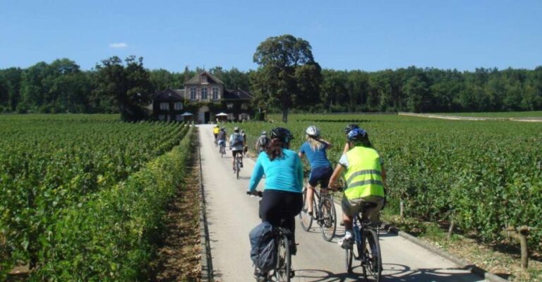 From Beaune: Full-Day Bicycle and Wine Tour in Burgundy - The Pros and Cons