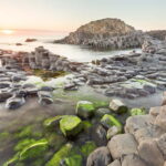 From Belfast: Giants Causeway and Game of Thrones Day Tour - What Travelers Say: Honest Feedback and Tips