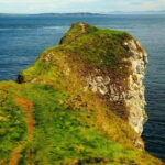 From Belfast: Giants Causeway Full-Day Private Guided Tour - Key Points