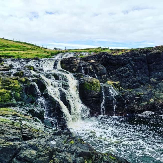 From Belfast: Private Tour of the Glens & Giants Causeway - Transport and Comfort