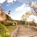 From Belgrade: Novi Sad and Sremski Karlovci Day Trip - Authentic Traveler Feedback