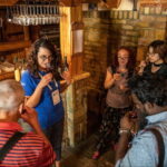 From Belgrade: Novi Sad & Sremski Karlovci Full-Day Tour - The Logistics: How the Day Unfolds