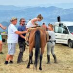 From Belgrade: Tara trail 6-Days Horseback Riding Adventures - What’s Included & Practical Details