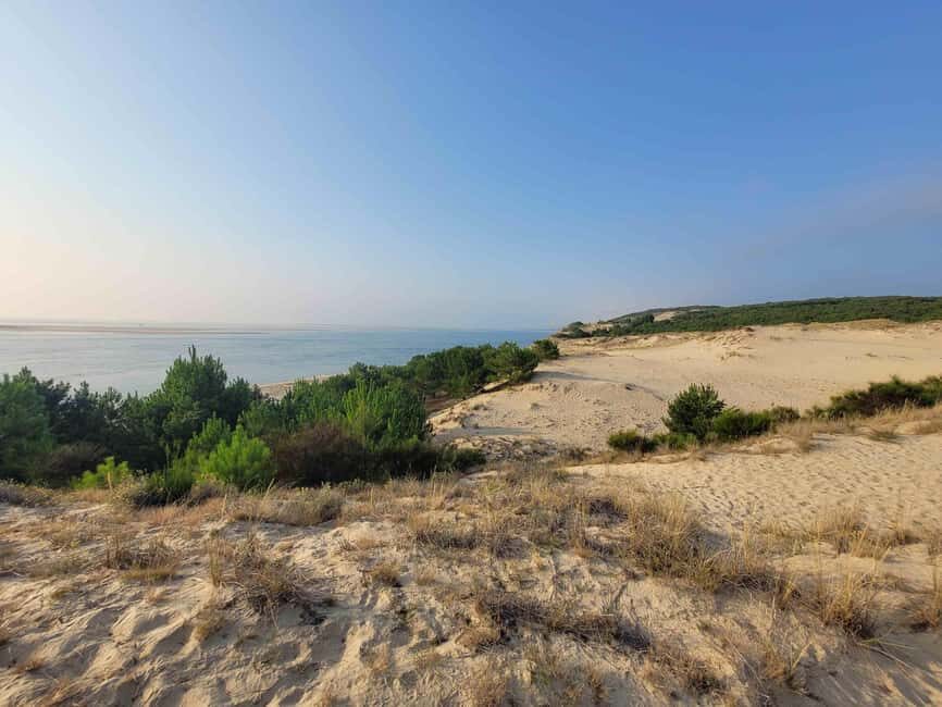 From Biarritz: Dune du Pilat and Arcachon Bay - 100% Private