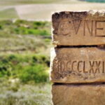 From Bilbao: La Rioja Wineries Day Trip with Wine Tastings - What to Expect from the Tour: A Deep Dive