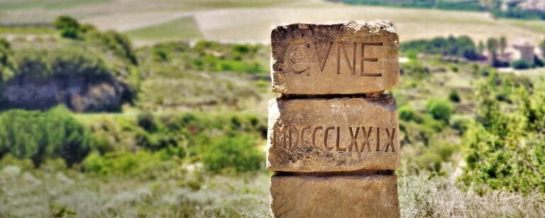 From Bilbao: La Rioja Wineries Day Trip with Wine Tastings - What to Expect from the Tour: A Deep Dive