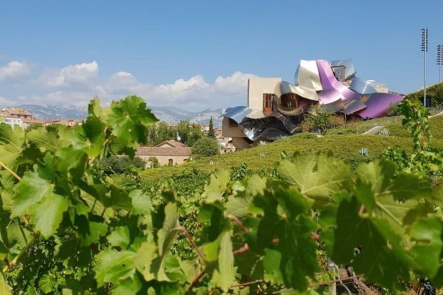 From Bilbao: Rioja Architecture and Wine Tour - The Practicalities