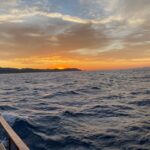 From Bodrum: Private Sunset Boat Tour with Dinner & Swimming - The Dining Experience