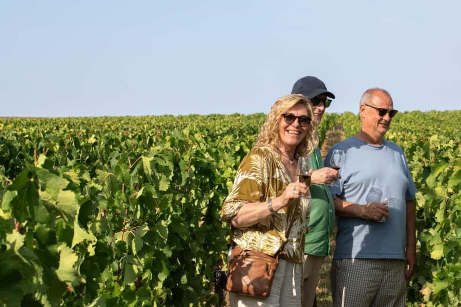 From Bordeaux: Afternoon Saint-Emilion Wine Tasting Trip - Who Will Love This Tour?