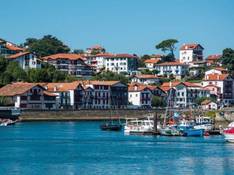 From Bordeaux: Full-Day Private Basque Country Tour - What Makes This Tour Stand Out?