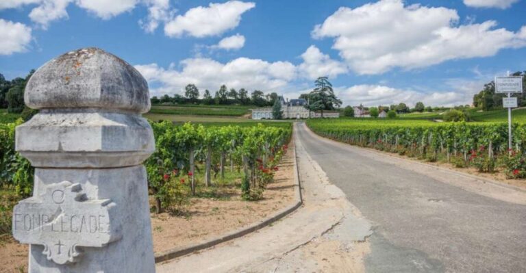 From Bordeaux: Full-Day St Emilion Wine Tasting Tour - Visiting the Classified Growth Chateaux
