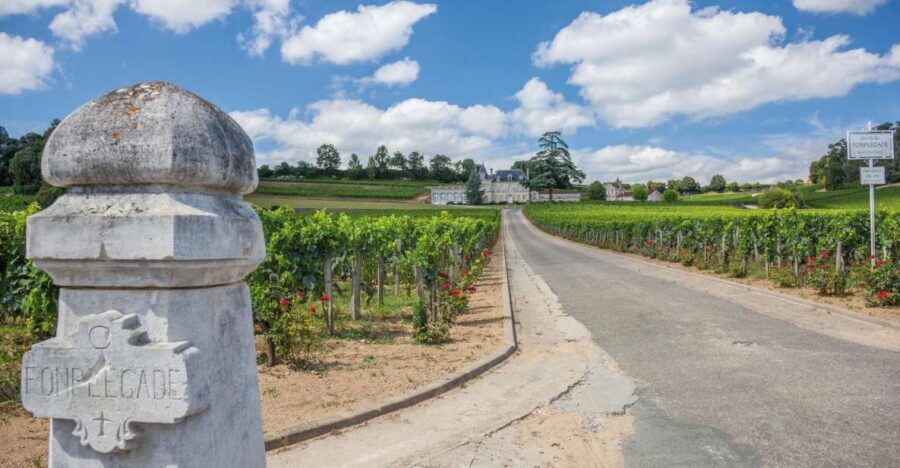 From Bordeaux: Full-Day St Emilion Wine Tasting Tour - Visiting the Classified Growth Chateaux
