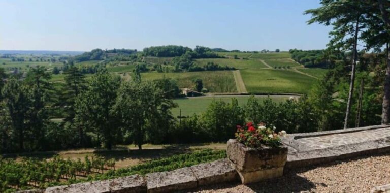 From Bordeaux: Private Tour in the Chateaux of Saint-Émilion - Who Is This Tour Best For?