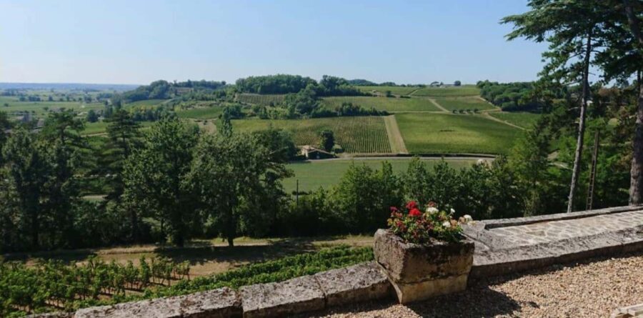 From Bordeaux: Private Tour in the Chateaux of Saint-Émilion - Who Is This Tour Best For?