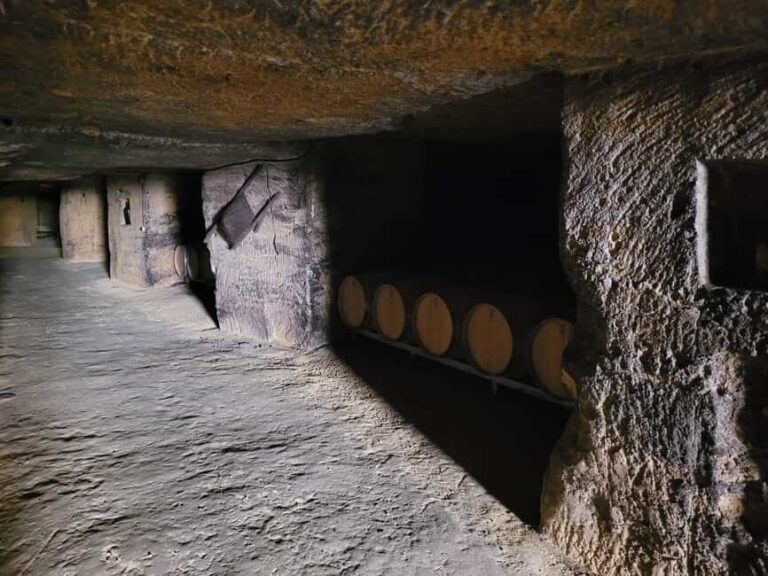 From Bordeaux: Private tour Monbazillac (Castle, Wine & Food in Dordogne) - What makes this tour special?