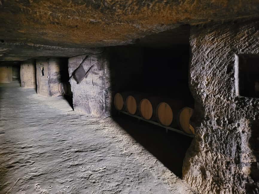 From Bordeaux: Private tour Monbazillac (Castle, Wine & Food in Dordogne) - What makes this tour special?