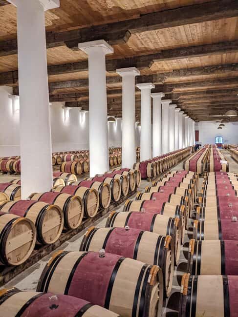 From Bordeaux: Private Wine Tour to Saint-Émilion - What to Expect on the Day