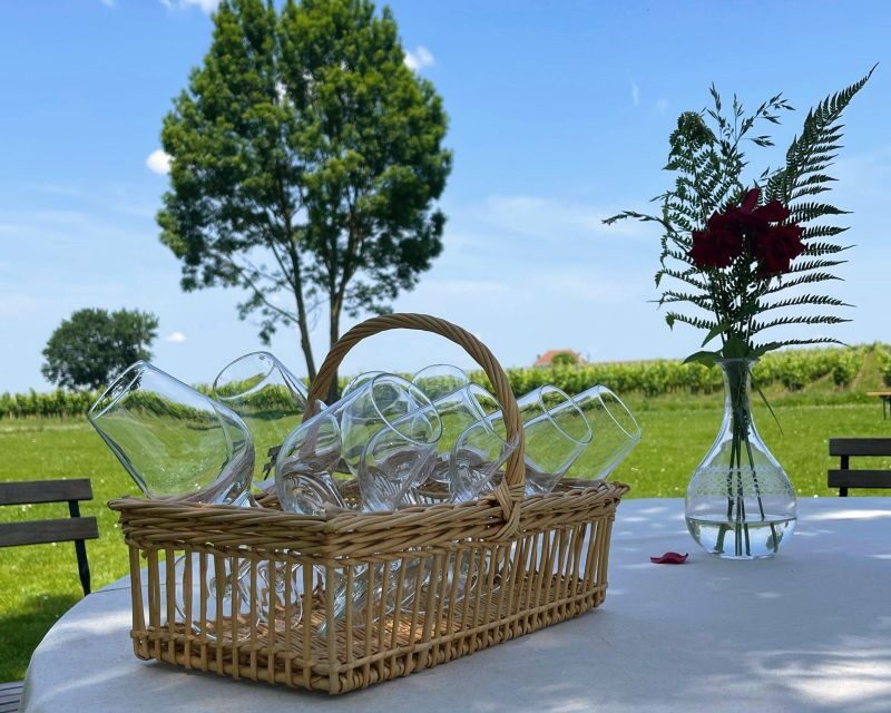 From Bordeaux: Saint-Emilion Day Trip with Lunch and Wine - Who Will Love This Tour?