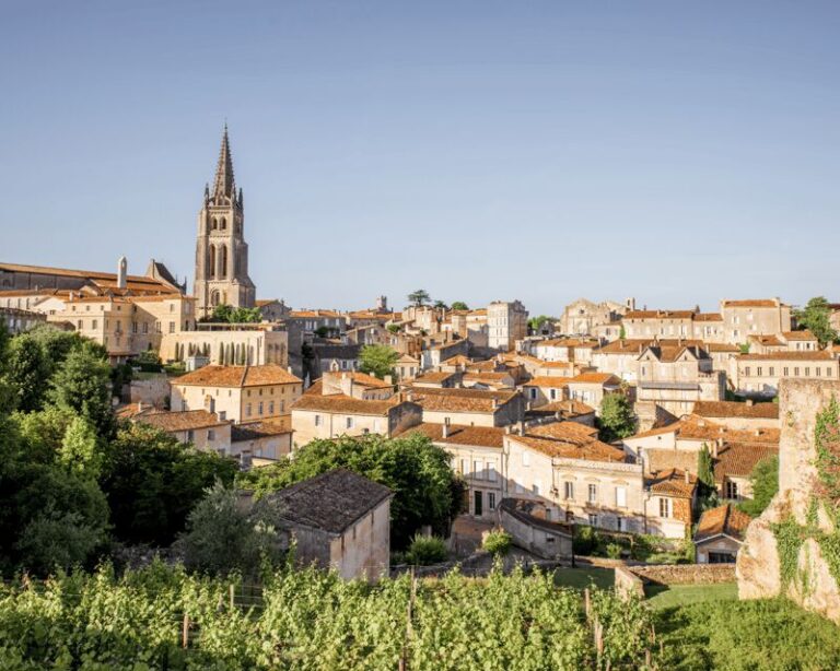 From Bordeaux: Saint-Émilion Half-Day Tour with Wine Tasting - The Journey to Saint-Émilion