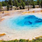From Bozeman Yellowstone Full Day Tour Lower Loop - Price and Value