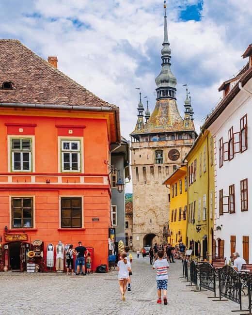 From Brasov: Bears Sanctuary and Sighisoara Day Tour - The Experience in Detail