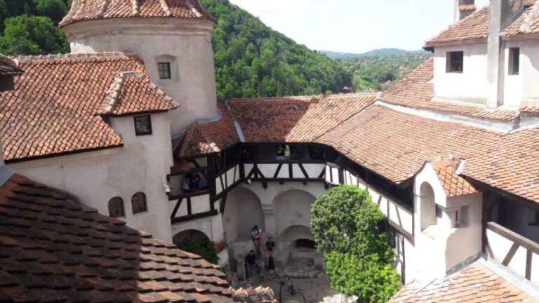 From Brasov: Peles Castle, Bran Castle & Cantacuzino Castle - What the Reviews Say