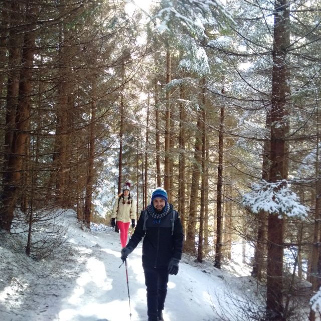 From Brasov: Piatra Craiului National Park Private Day Tour - The Scenic Trails and Unique Stops