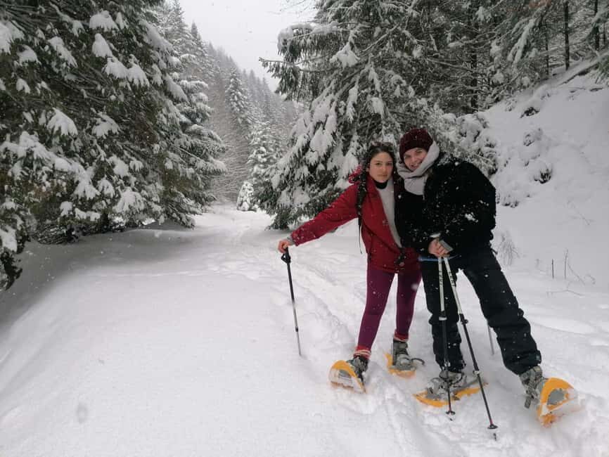 From Brasov: Piatra Craiului Snowshoeing Tour - Practical Details and What to Expect