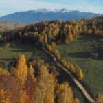 From Brasov: Romanian Mountain Villages Day Tour - What the Tour Offers: An Honest Breakdown