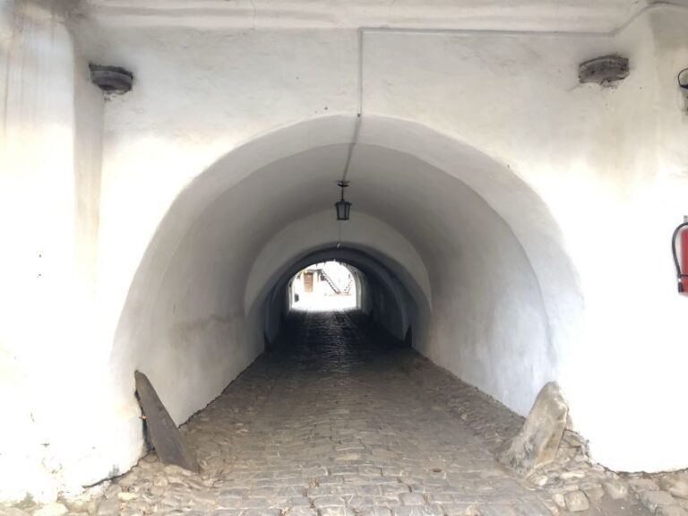 From Brasov: Small-Group Half-Day Fortified Churches Tour - Who Should Consider This Tour?