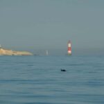 From Brighton: Seven Sisters Boat Tour - The Sum Up