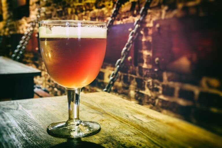 From Brussels: Bruges Day Trip with Boat Tour Option (ENG) - Who Is This Tour Best For?